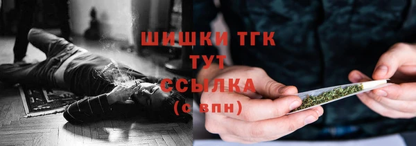 винт Аркадак